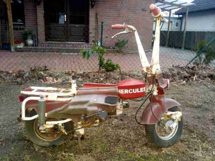 Motograziella - Gold-Rad