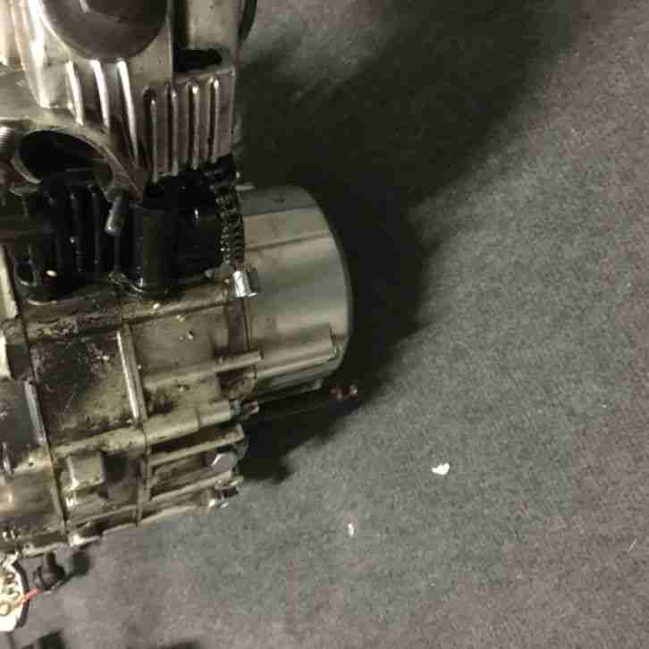 Motor 50ccm³, Lifan Skyteam Dax Monkey Skymini Skybongo Skymax Honda mit E Start