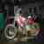Motorrad GasGas 250