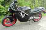 Motorrad CBR 600 PC 19 Fahrbereit in