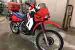 Motorrad KLR 650 an Bastler