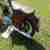Motorrad Oldtimer JAWA