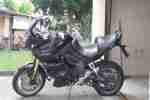 Motorrad Tiger 1050 SE