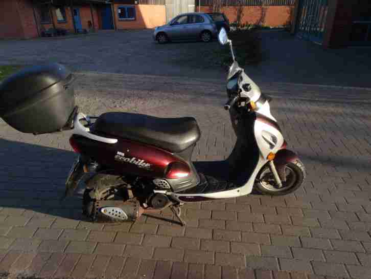 Motor 125 ccm, Ecobike Panther 125
