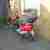Motorroller Honda Bali