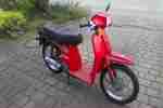 Motorroller Scoopy SH50 original 7300