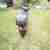 MotorRoller Honda Spacy