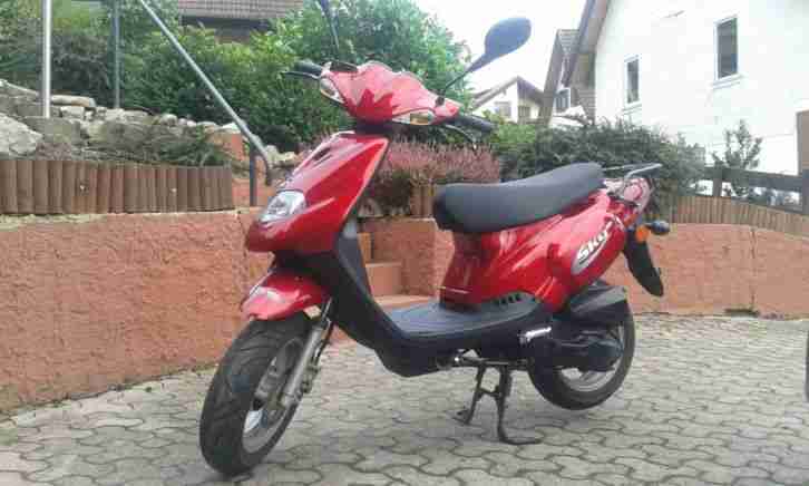 Motor Pegasus 2 Sitzer 45 km h