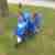 MotorRoller Rex scouter