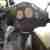 MotorRoller Sym 25