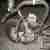 NSU Lambretta Roller
