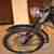 Oldtimer BSA A65