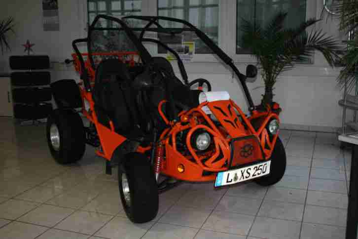 PGO Bugrider 250 DS, Buggy mit