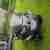 Piaggio MP3 250