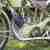 Panther 500 Sloper