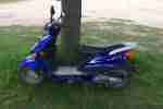 Pegasus Moped Mofa Mit Papieren