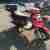Pegasus Roller SKY