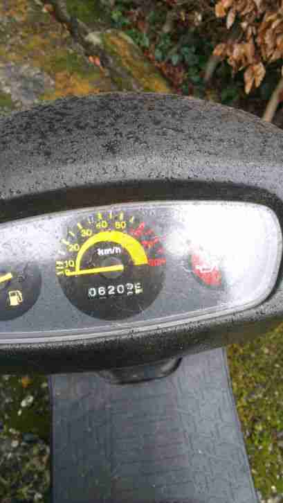 Pegasus Sky 50 45km/h