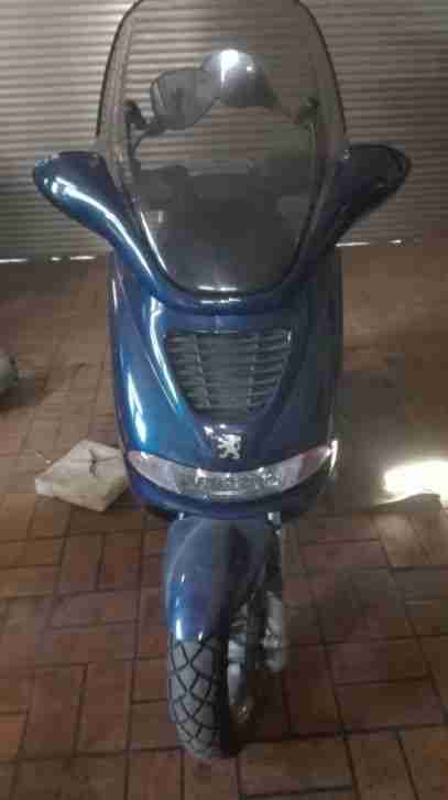 Peugeot Elyseo Bastlerfahrzeug Ersatzteillager