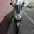 Peugeot Elystar TSDI