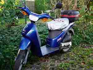 Piaggio Free 50 mit Topcase Varioriemen u Batterie neu