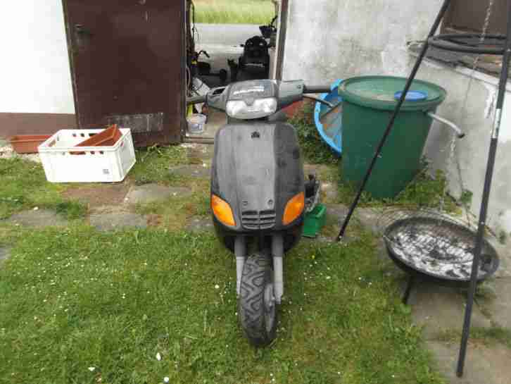 Piaggio Zip Roller für Bastler