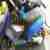 Piaggio tph 50
