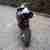 Pocketbike 49ccm TOP