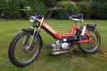 Puch Maxi N Tausch Flory Mf23