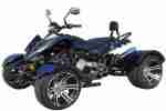 QUAD 300ccm SPEEDSTAR 300 AUTOMATIK GRAU