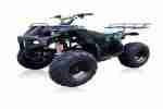 QUAD ATV 250CC OFFROAD HUMMER camouflage 15