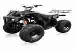 QUAD ATV 250CC OFFROAD HUMMER schwarz 15 PS