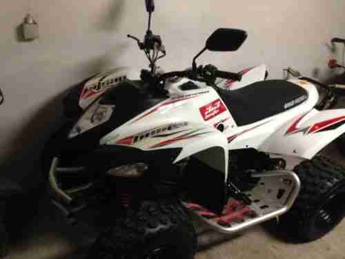 QUAD ATV 300 ccm
