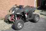 QUAD Access SP250 S Triton 2010 defekt