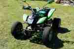 QUAD BASHAN 200CCM UMBAU ZUM STREETFIGHTER