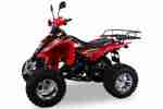 QUAD SHINERAY XY250STXE PLUS verschiedene