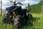 Quad 110ccm (super Zustand wenig gelaufen)