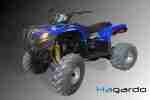 Quad 150ccm ATV Mastiff X&Y NEU 12 PS