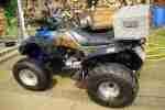 Quad 200ccm ATV Pioneer