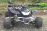 Quad 250 ccm mit zulassung nur Anlasser