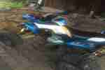 Quad 250cc Bashan