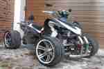 Quad 250ccm Jinlin Yongkang Changshun (RC)