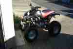 Quad 250ccm Rex Schneeschild Schneeschieber