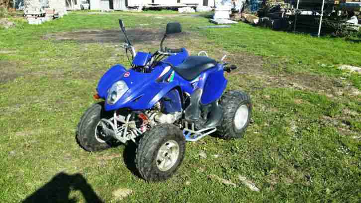 Quad 300ccm LX300ST