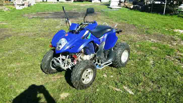 Quad 300ccm LX300ST