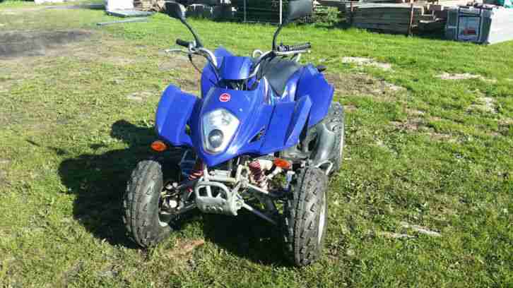Quad 300ccm LX300ST