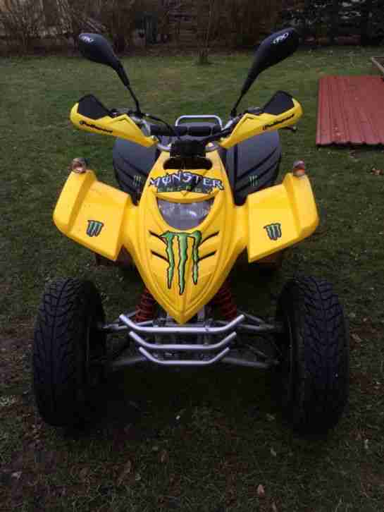Quad 49 ccm Roller ab 16 Jahre mit Strassenzulassung