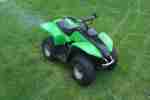 Quad 50 cm kleines Quad