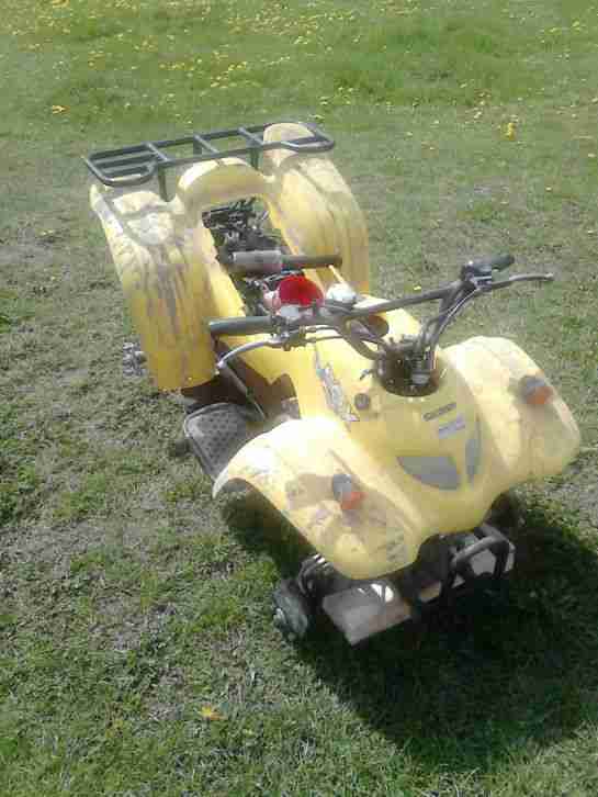 Quad 50ccm an Bastler