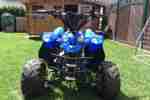 Quad ATV 110cc Gelände